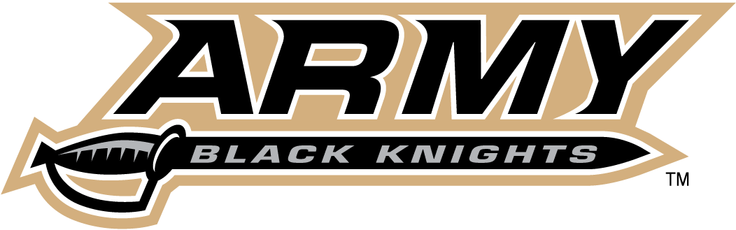 Army Black Knights 2000-2014 Wordmark Logo DIY iron on transfer (heat transfer)